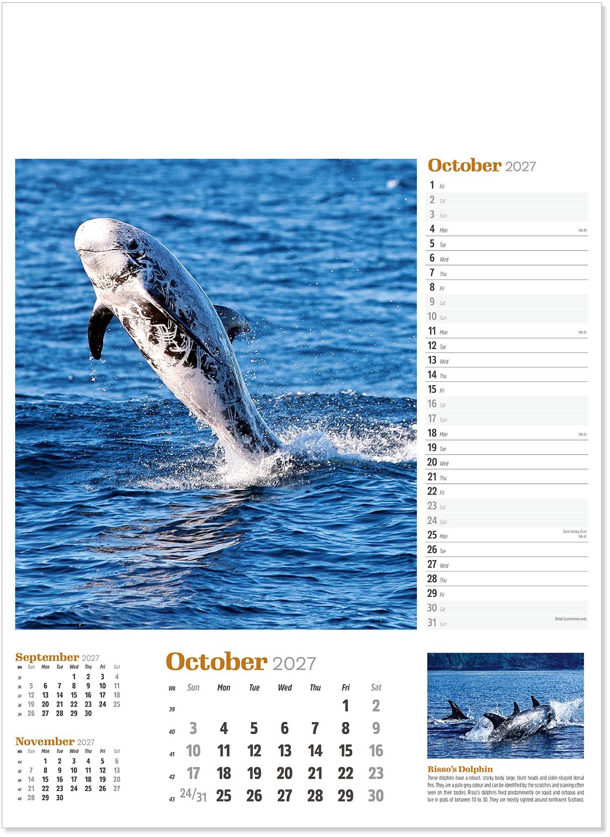 Wildlife in Britain Wall Calendar