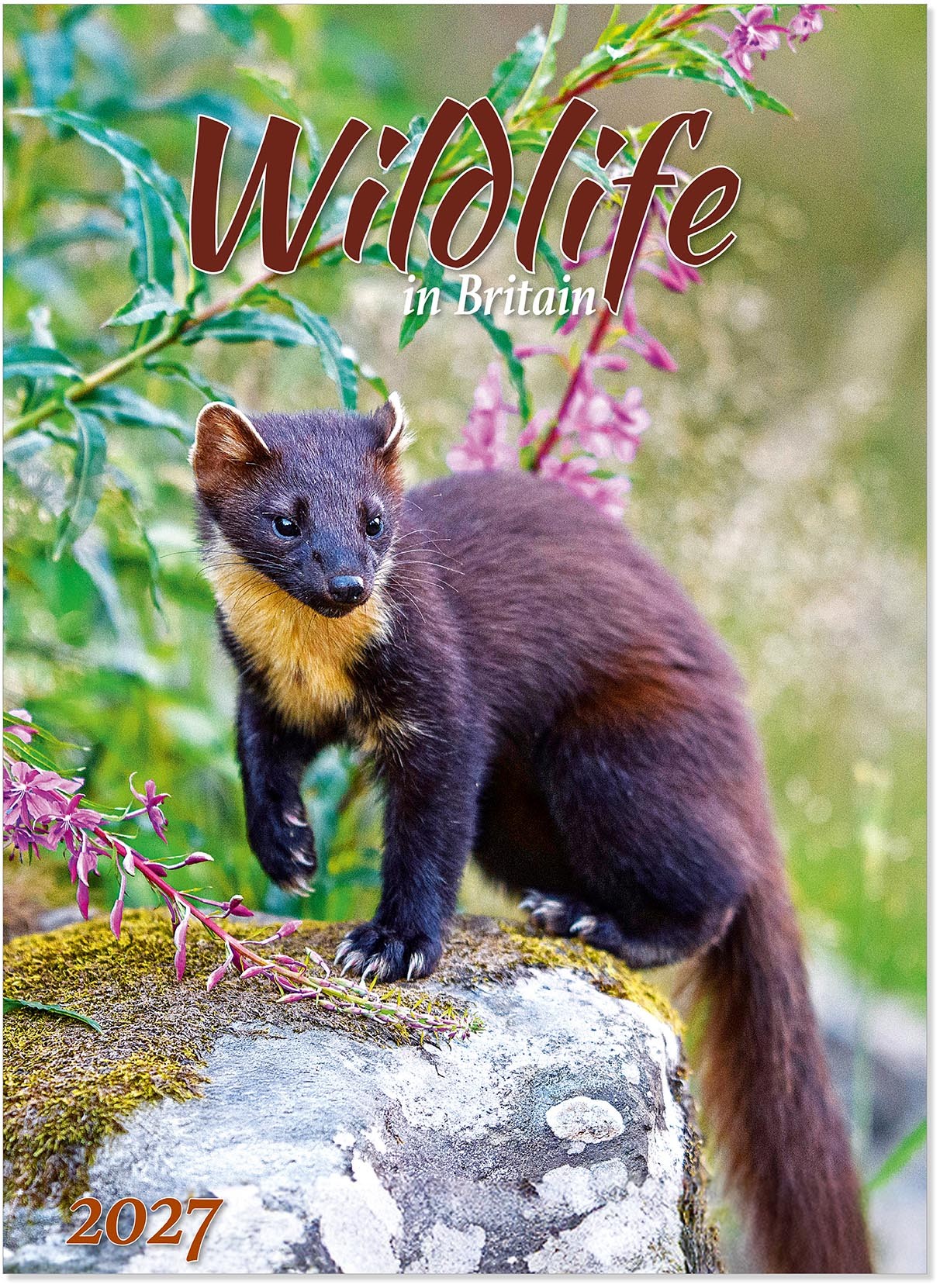 Wildlife in Britain Wall Calendar