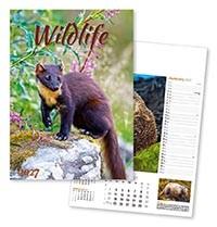 Wildlife in Britain Wall Calendar