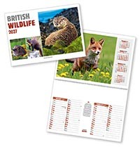 British Wildlife Postage Saver Calendar