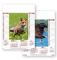 British Wildlife Calendar