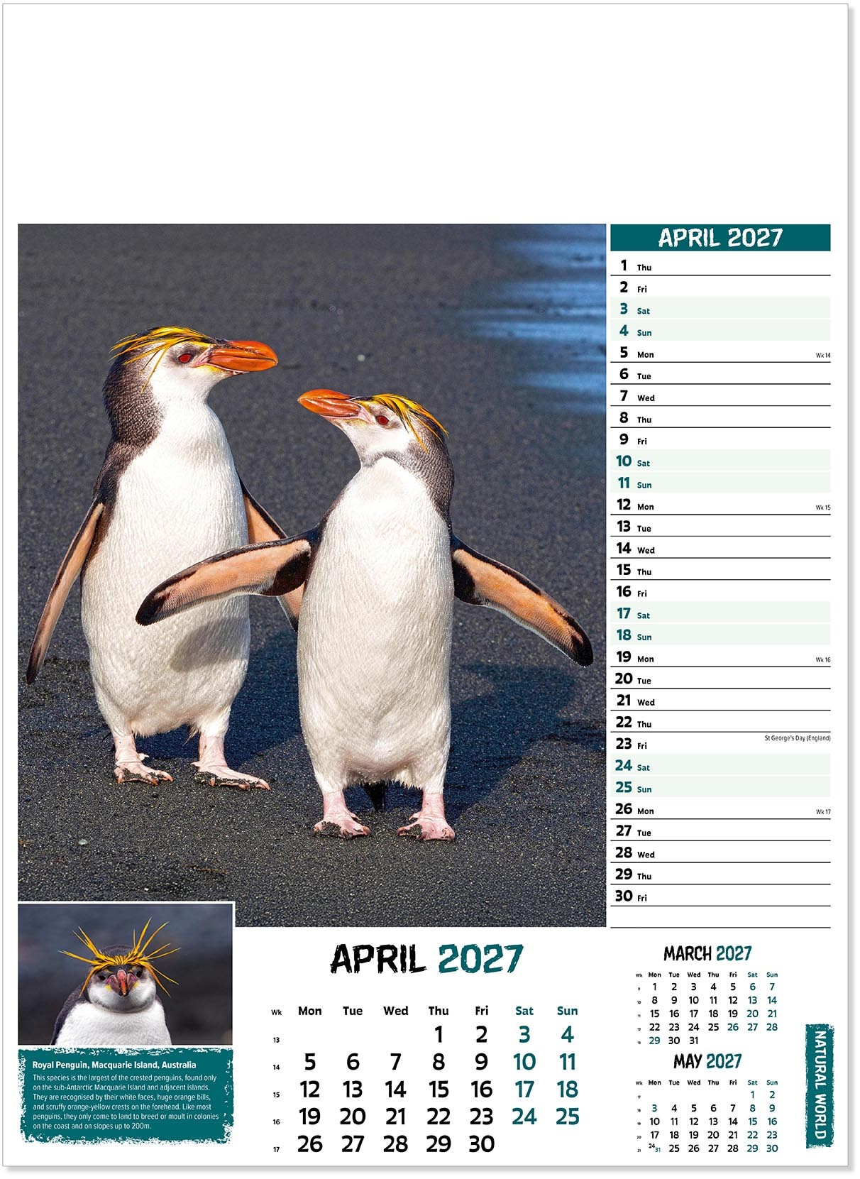 Natural World Wall Calendar