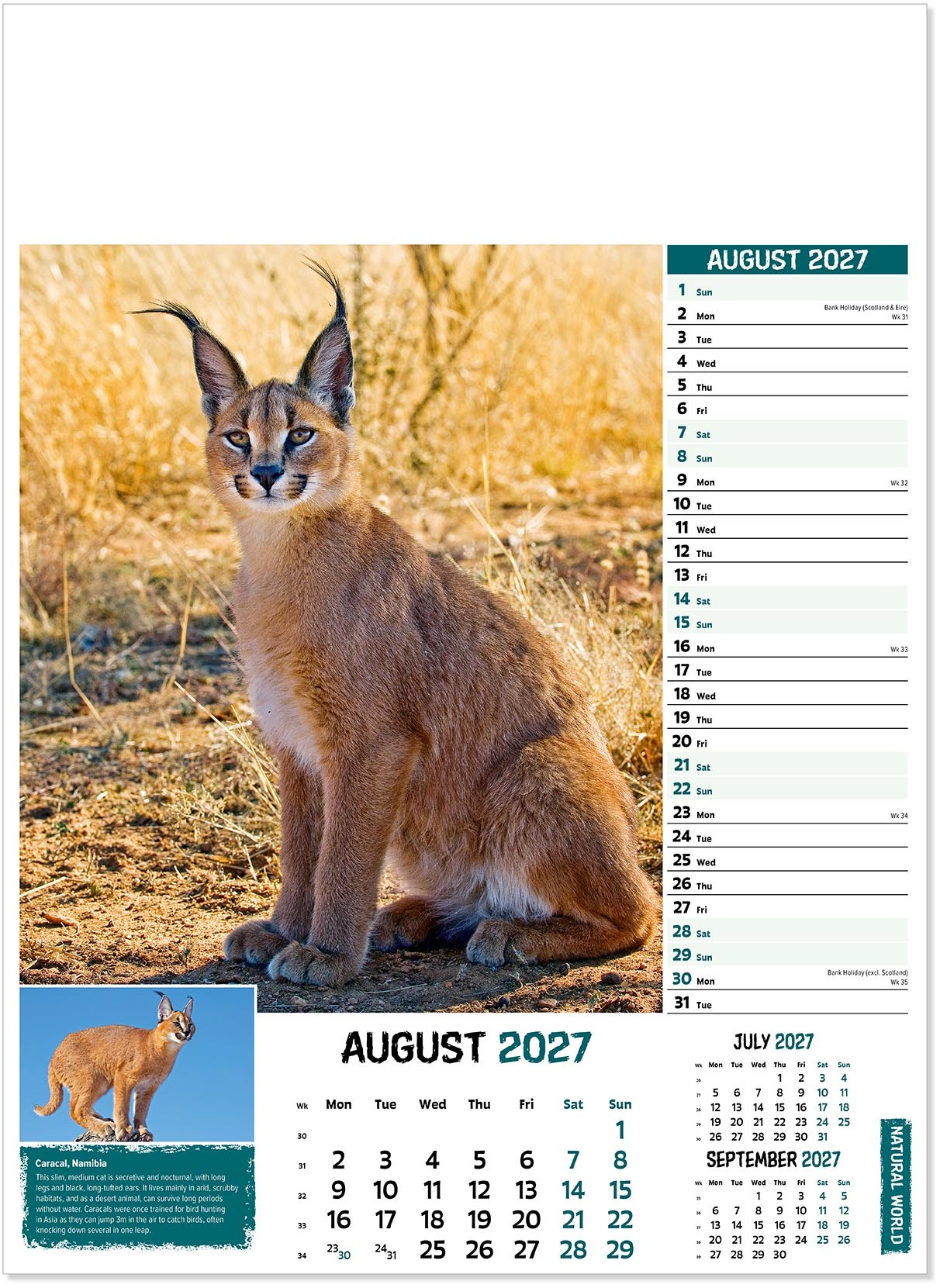Natural World Wall Calendar