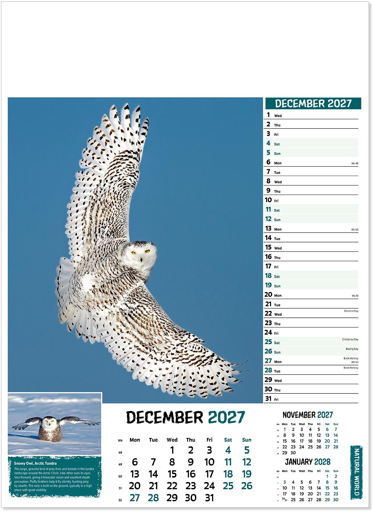 Natural World Wall Calendar