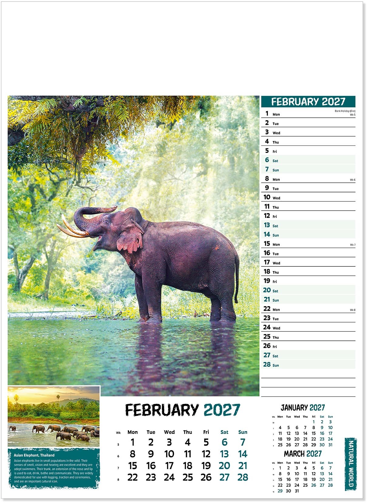 Natural World Wall Calendar