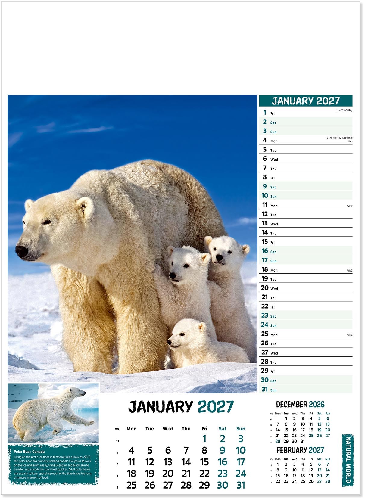 Natural World Wall Calendar