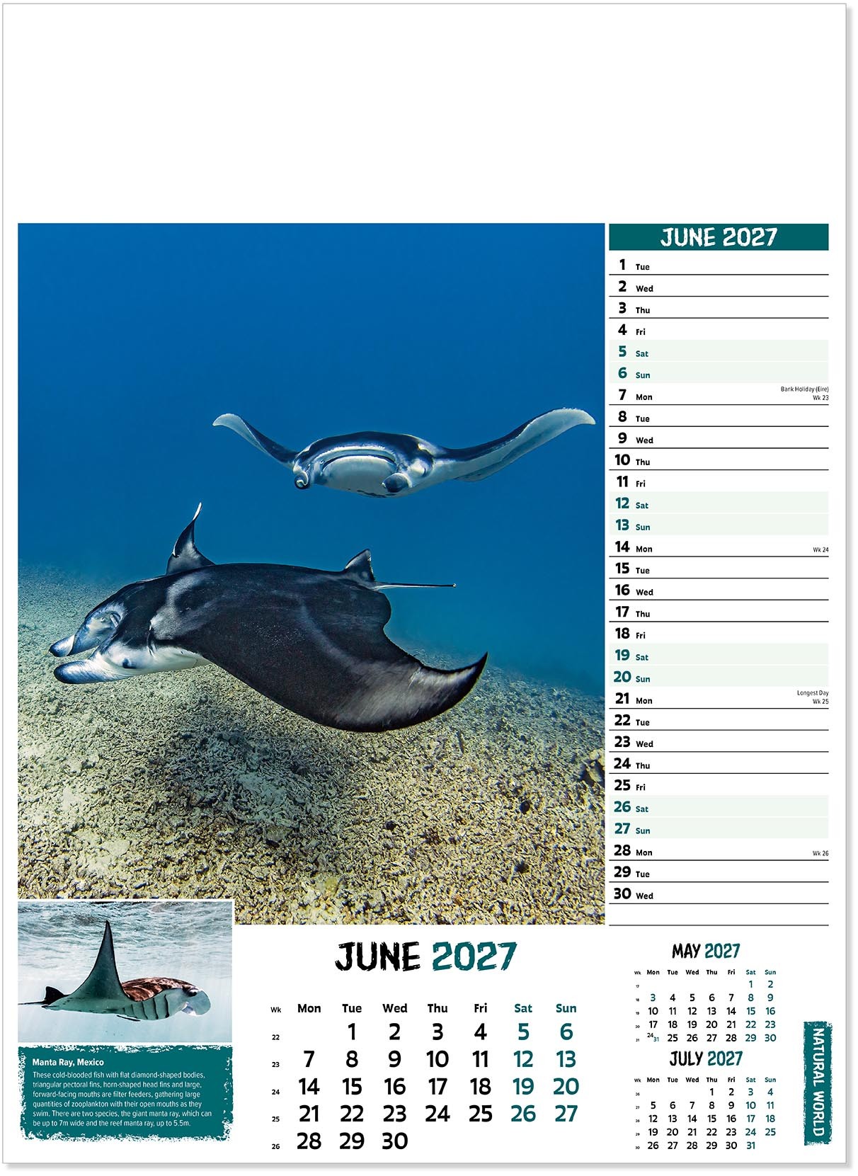 Natural World Wall Calendar
