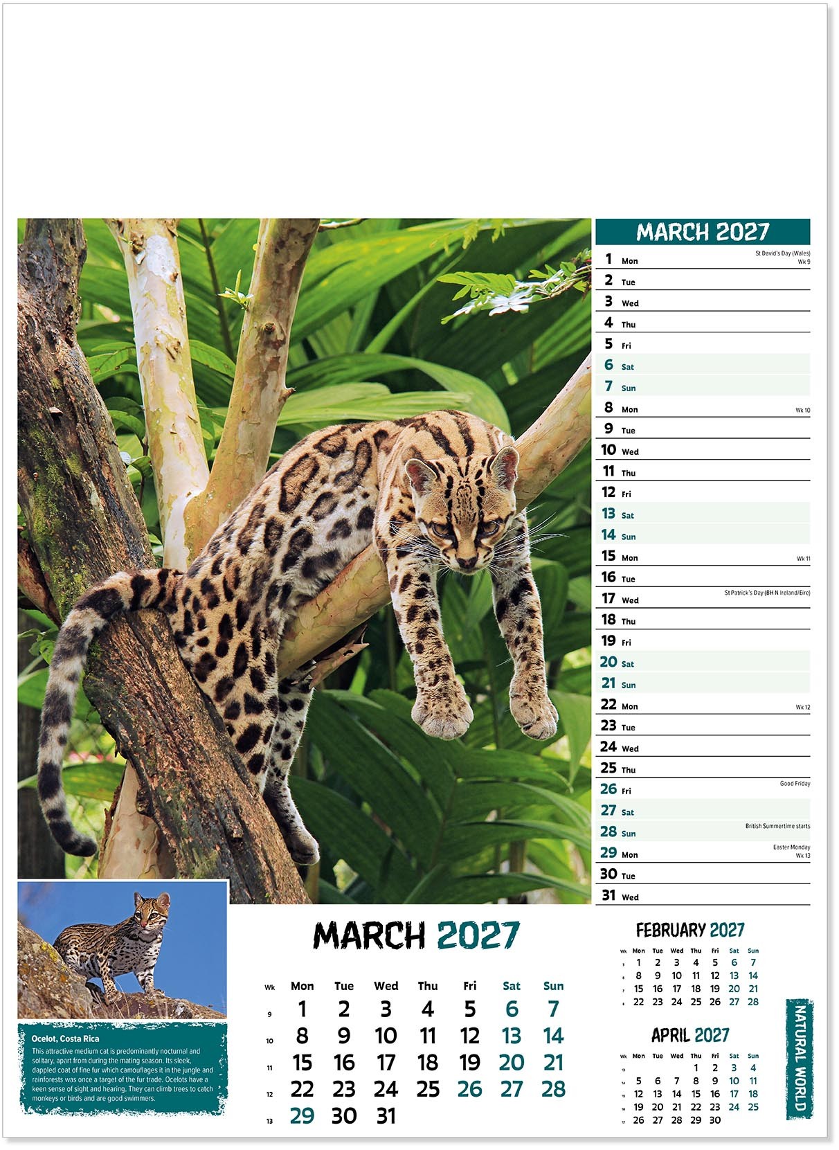 Natural World Wall Calendar