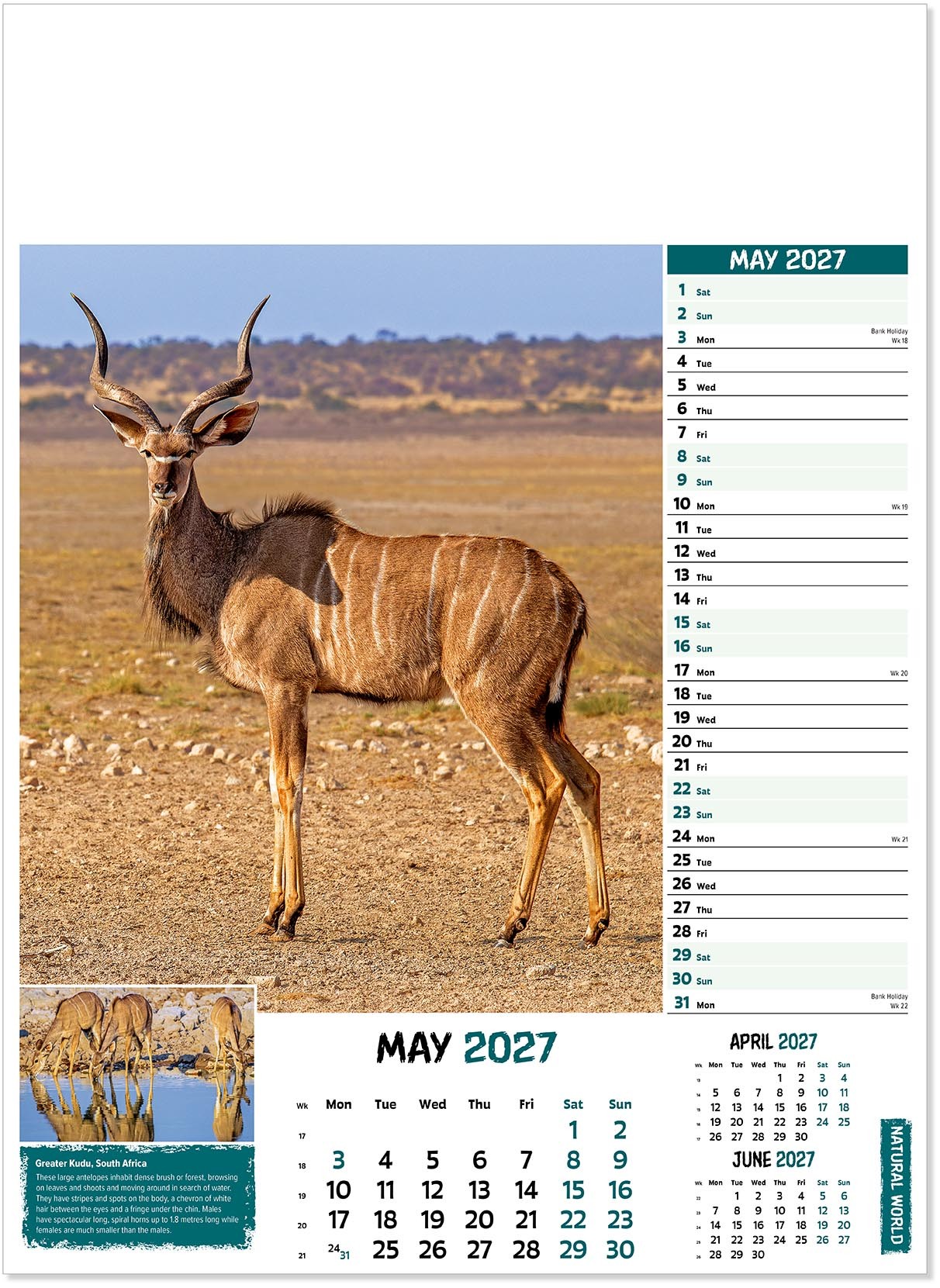 Natural World Wall Calendar