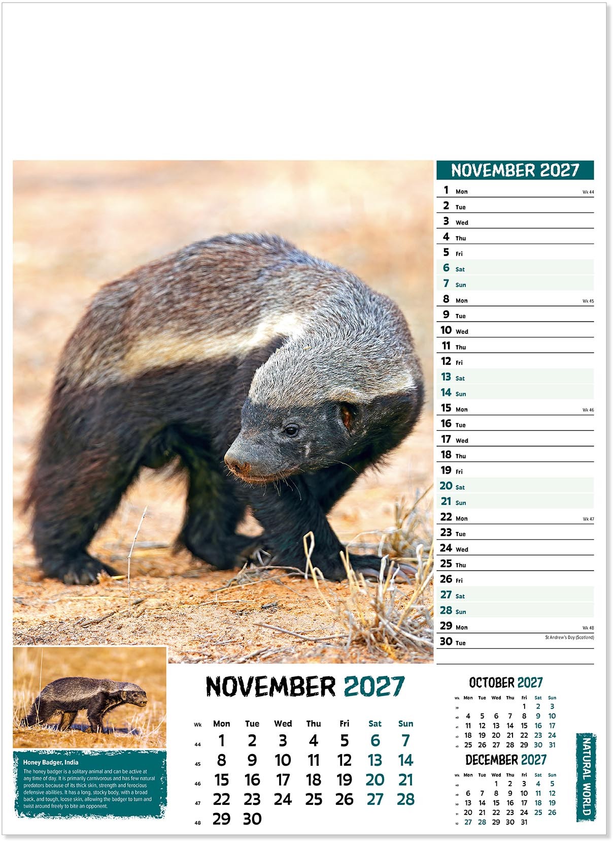 Natural World Wall Calendar