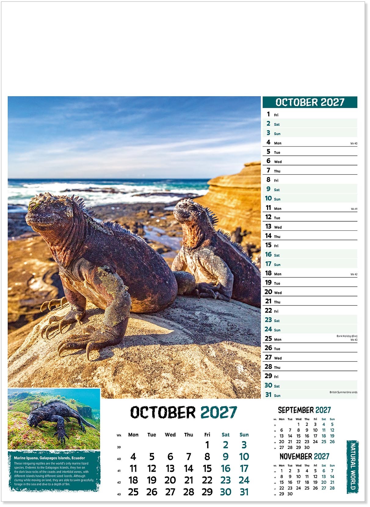 Natural World Wall Calendar