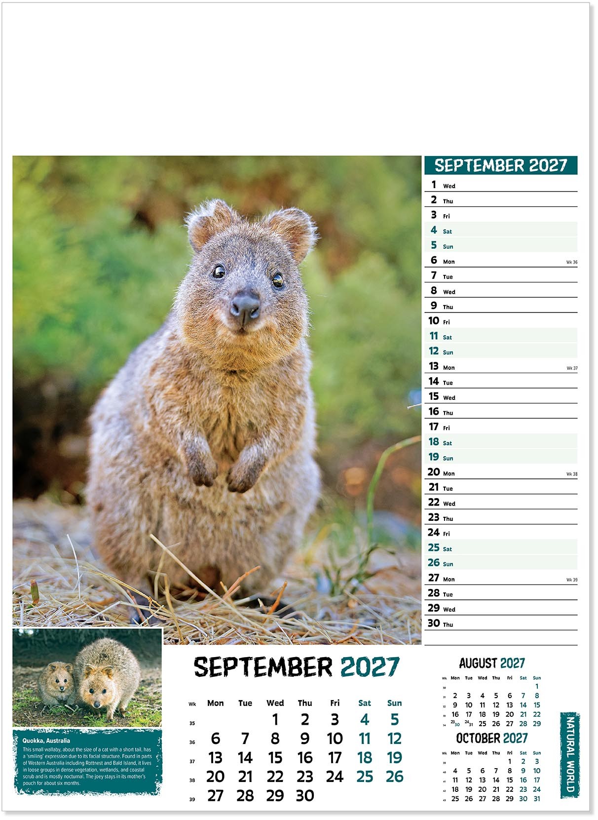 Natural World Wall Calendar