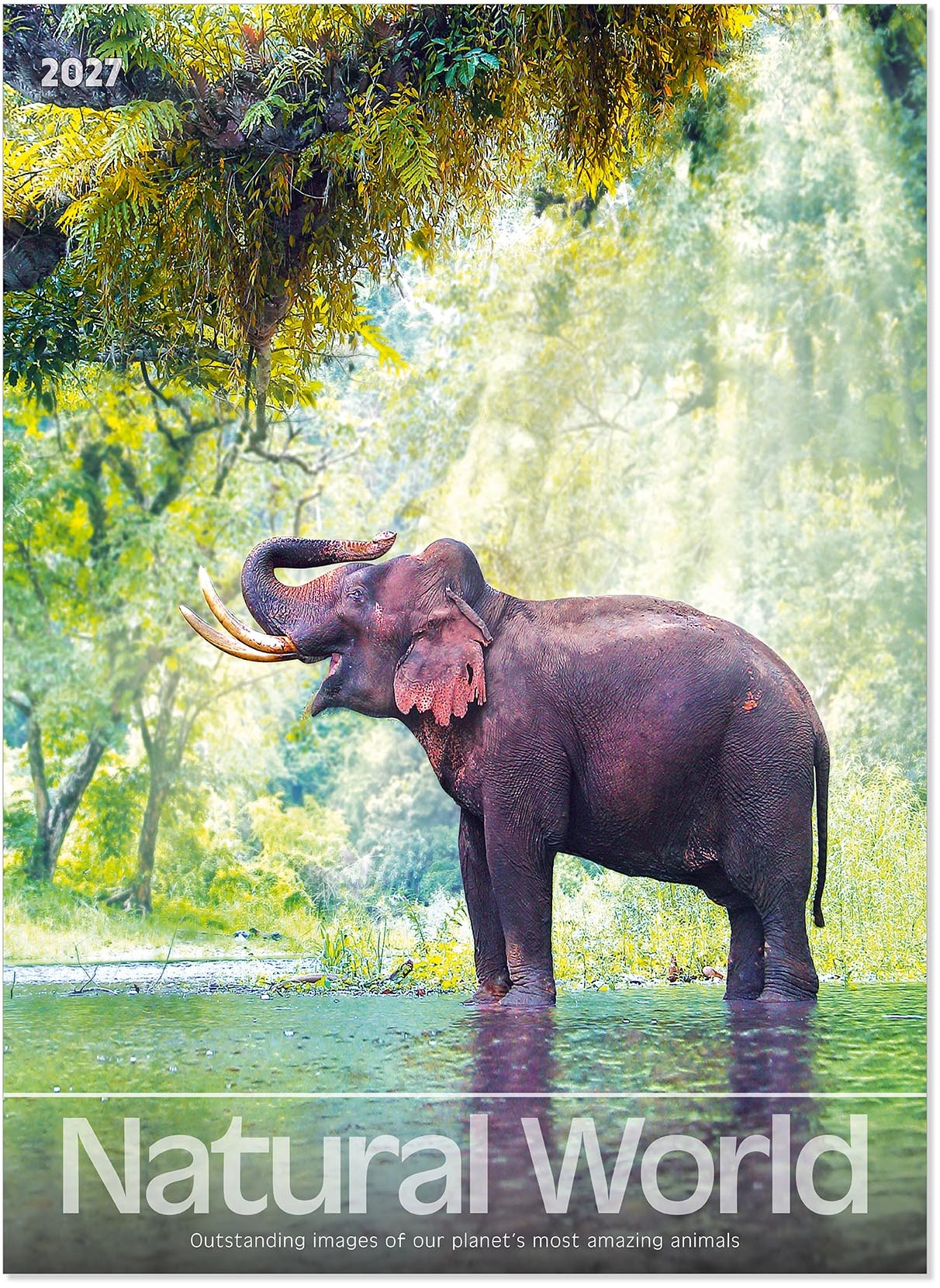 Natural World Wall Calendar