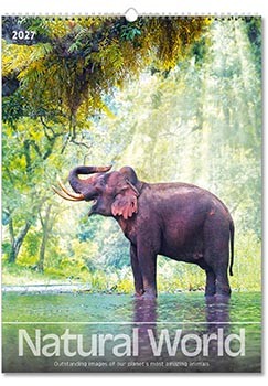 Natural World Wall Calendar