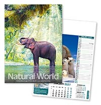 Natural World Wall Calendar