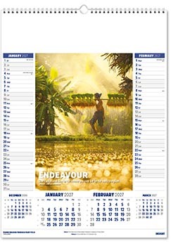 Insight Calendar
