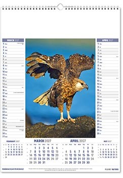 Planet Nature Calendar