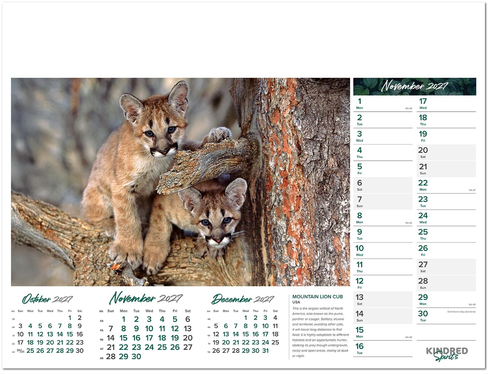 Kindred Spirits Calendar