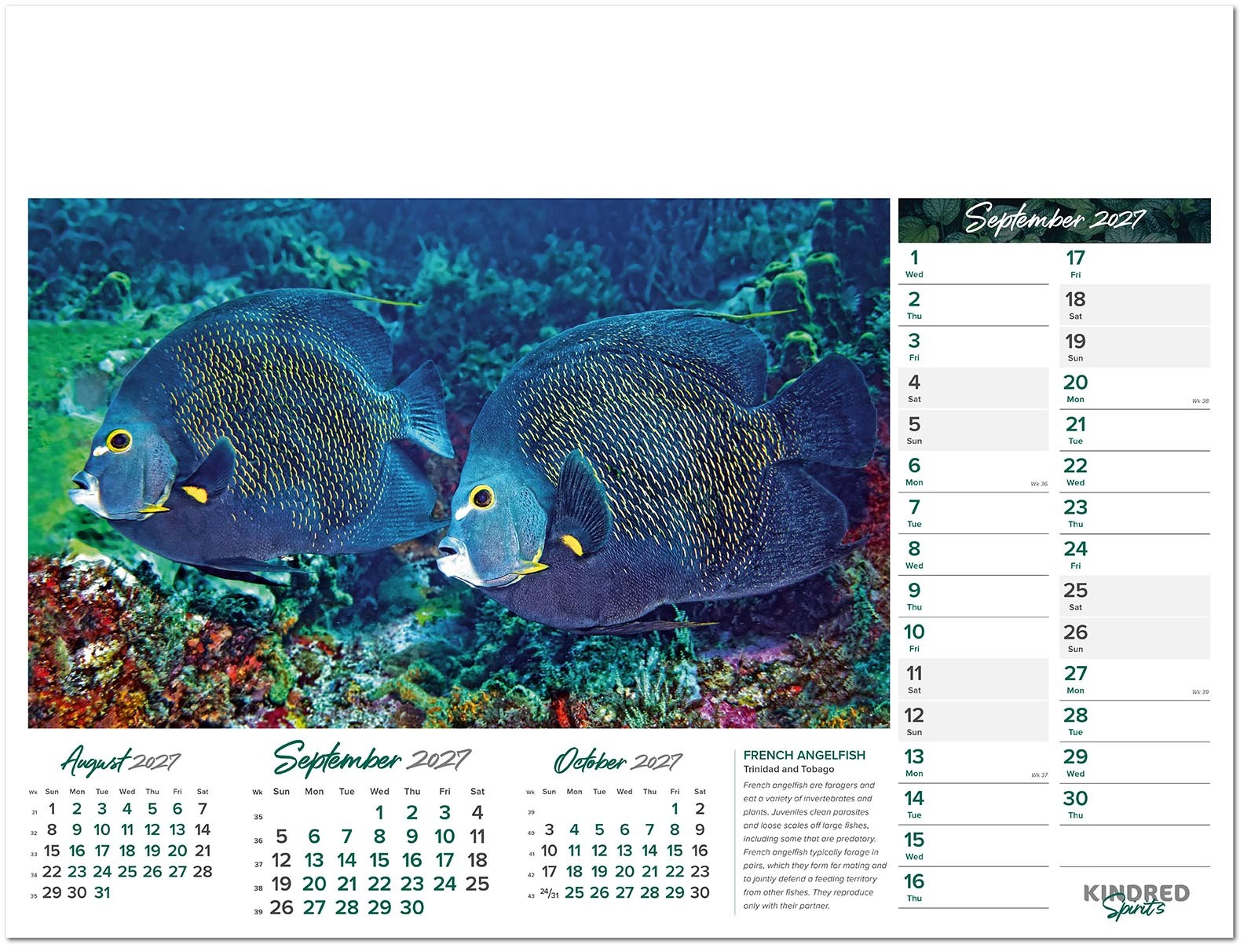 Kindred Spirits Calendar