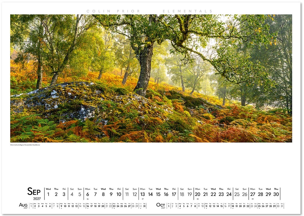 Colin Prior Elementals Wall Calendar