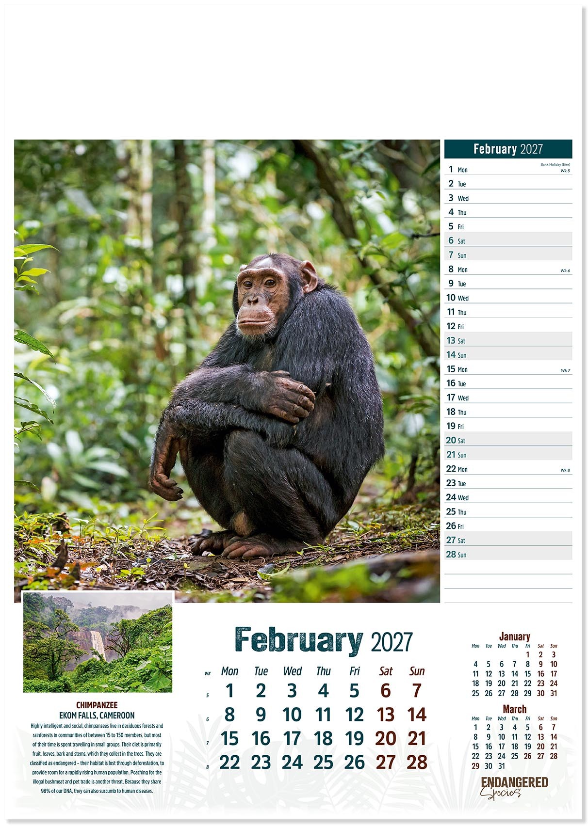 Endangered Species Calendar