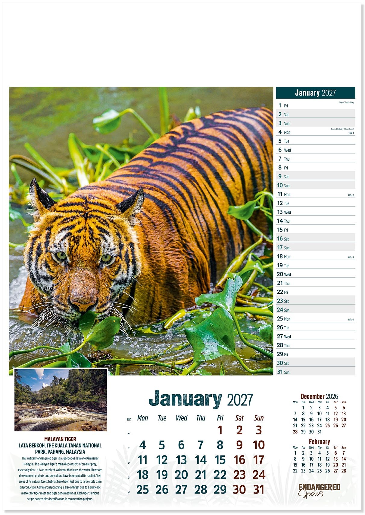 Endangered Species Calendar