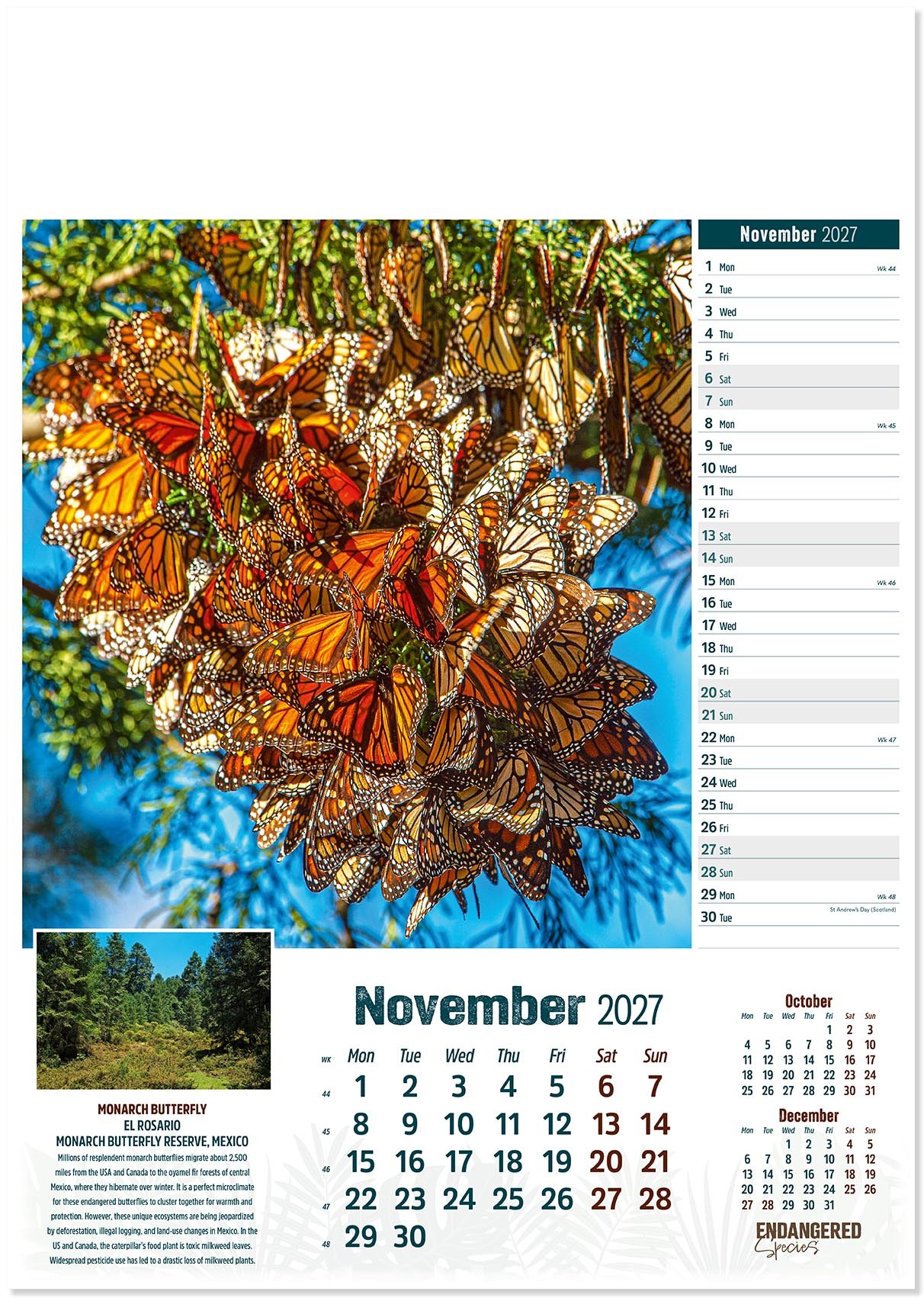 Endangered Species Calendar
