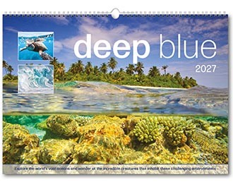 Deep Blue Wall Calendar
