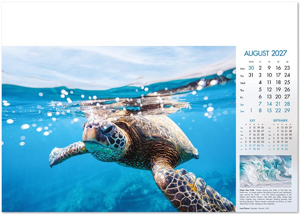 Deep Blue Wall Calendar