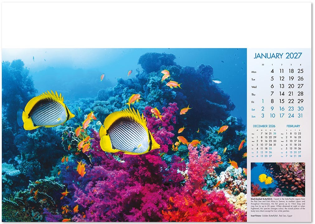 Deep Blue Wall Calendar