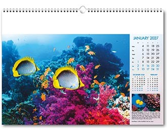 Deep Blue Wall Calendar
