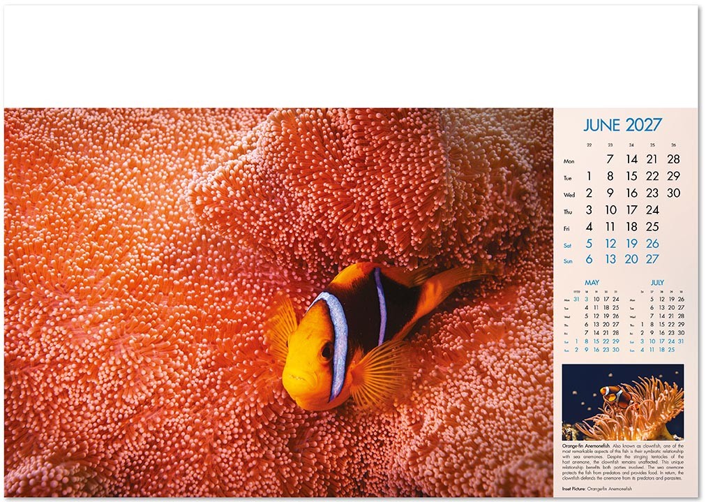 Deep Blue Wall Calendar