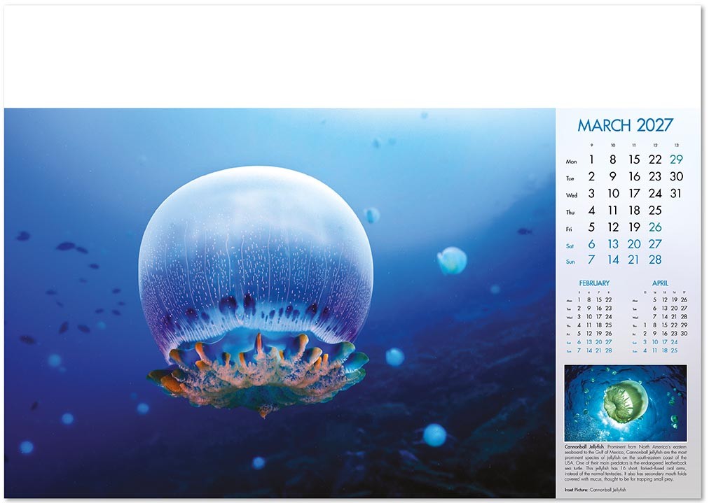 Deep Blue Wall Calendar