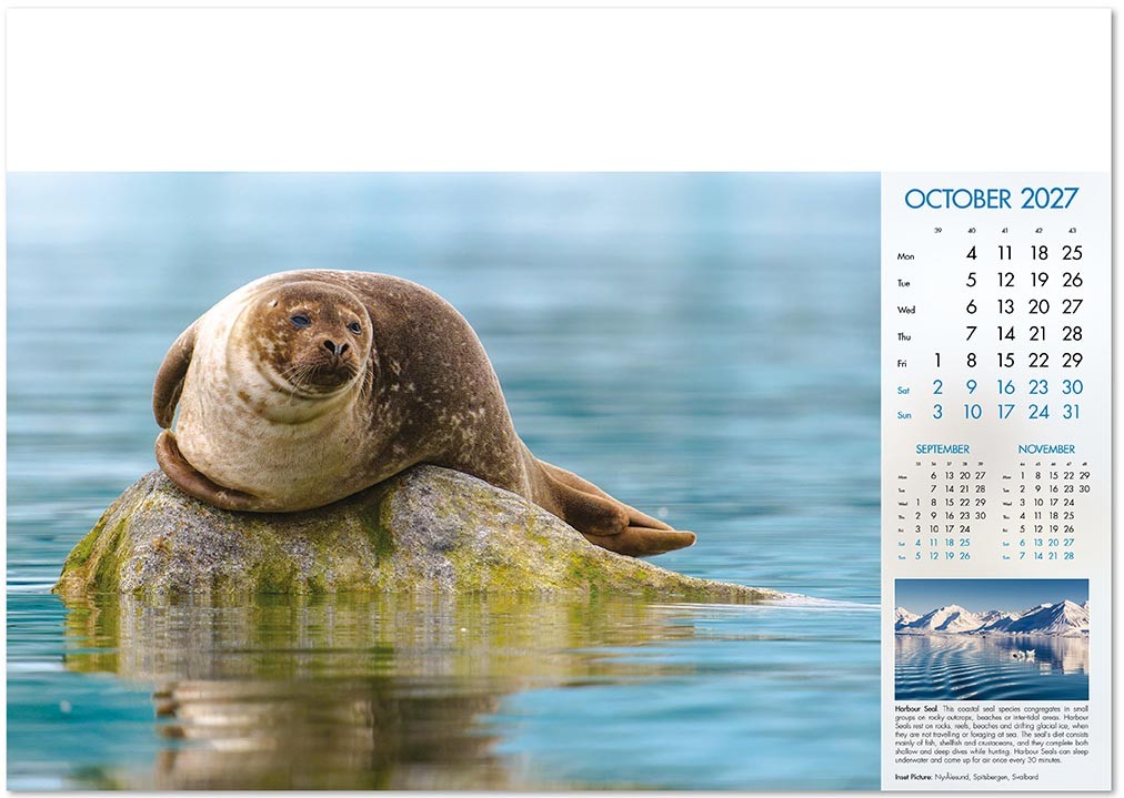 Deep Blue Wall Calendar