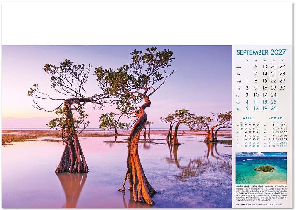 Deep Blue Wall Calendar