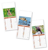Slimline British Wildlife Compact Calendar