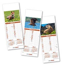Slimline British Wildlife Calendar