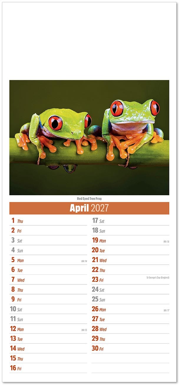 Slimline World Wildlife Compact Calendar