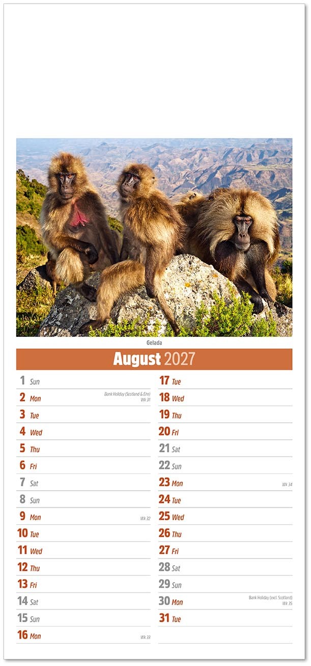 Slimline World Wildlife Compact Calendar