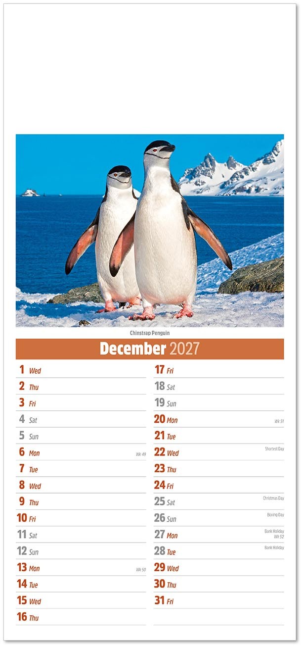 Slimline World Wildlife Compact Calendar