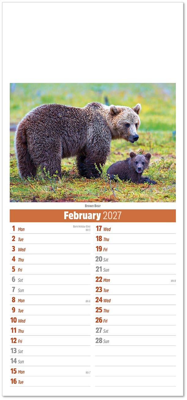 Slimline World Wildlife Compact Calendar