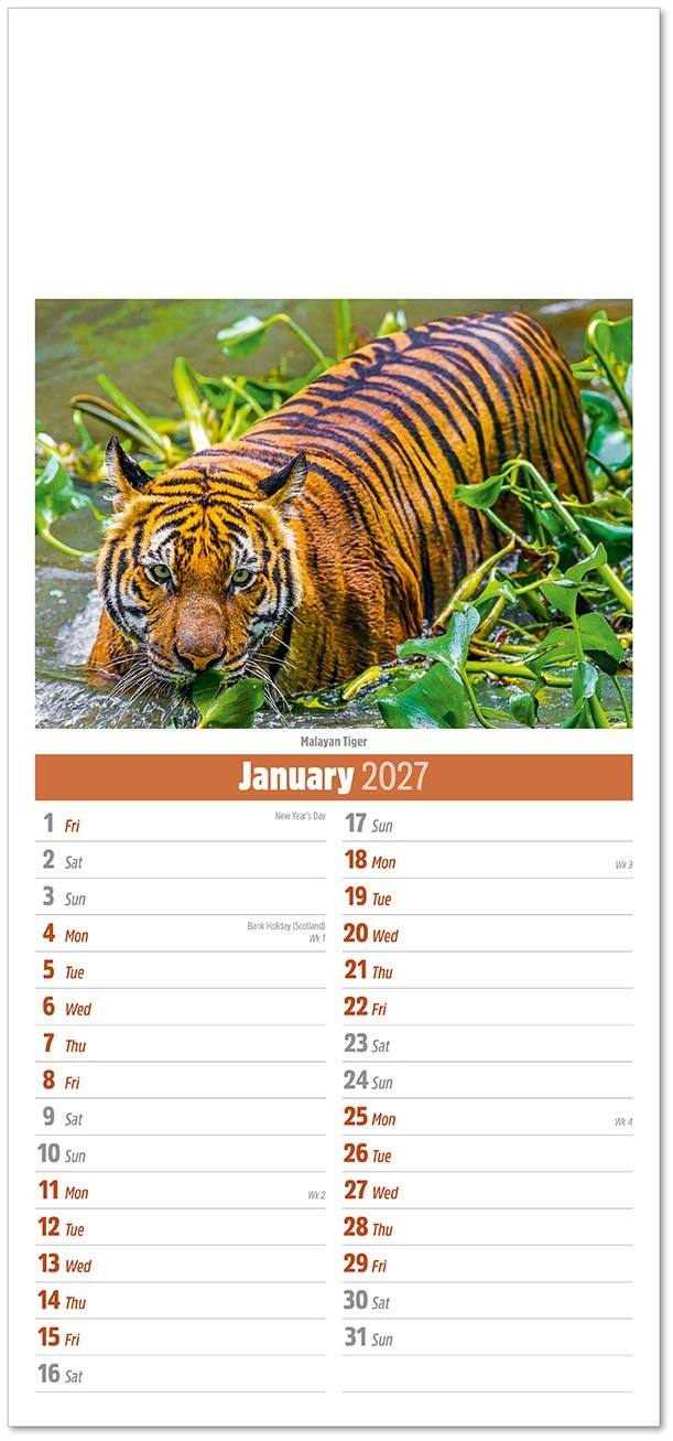 Slimline World Wildlife Compact Calendar