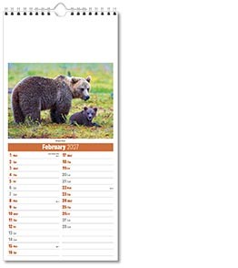 Slimline World Wildlife Compact Calendar