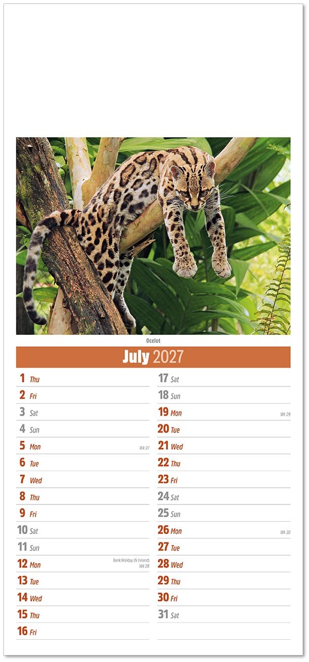 Slimline World Wildlife Compact Calendar