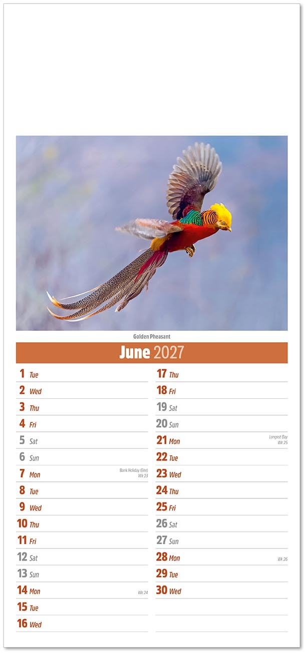 Slimline World Wildlife Compact Calendar