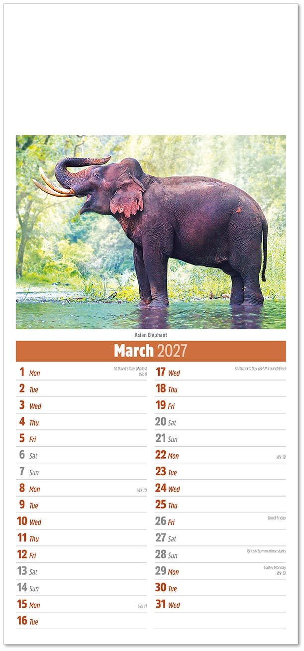 Slimline World Wildlife Compact Calendar