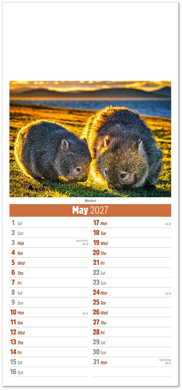 Slimline World Wildlife Compact Calendar