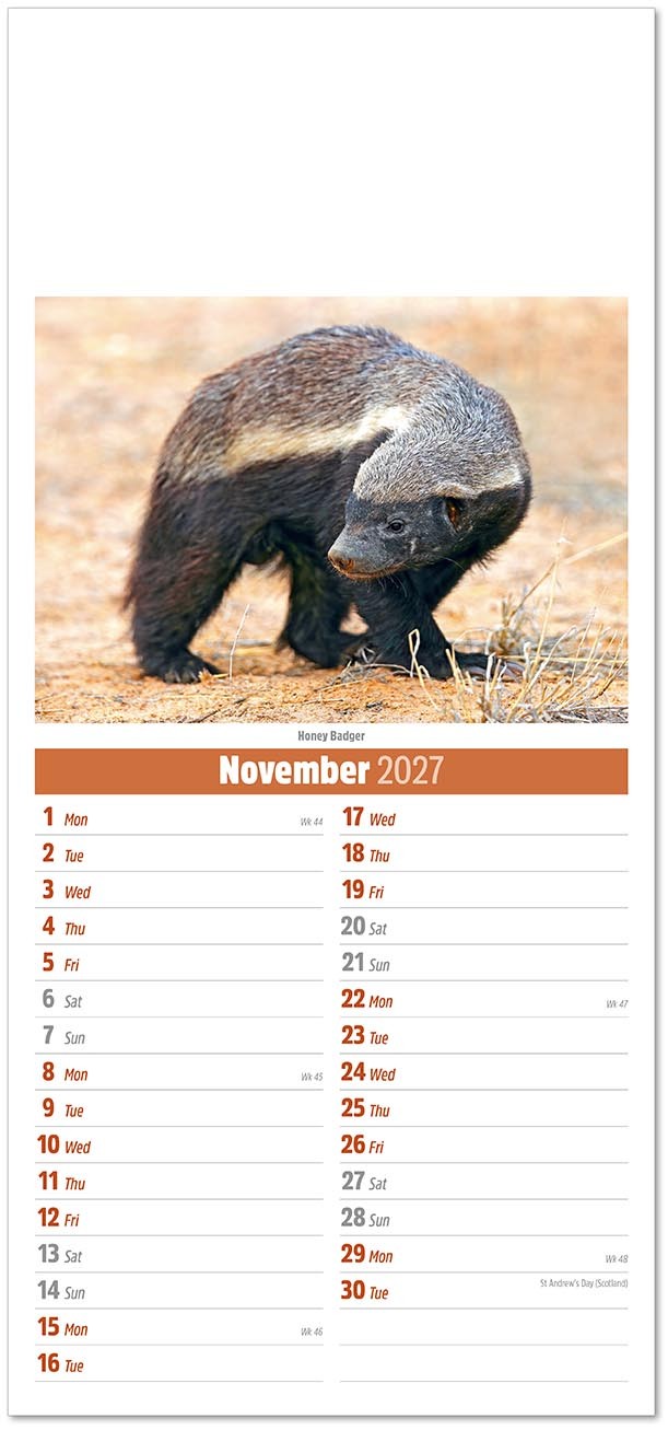 Slimline World Wildlife Compact Calendar