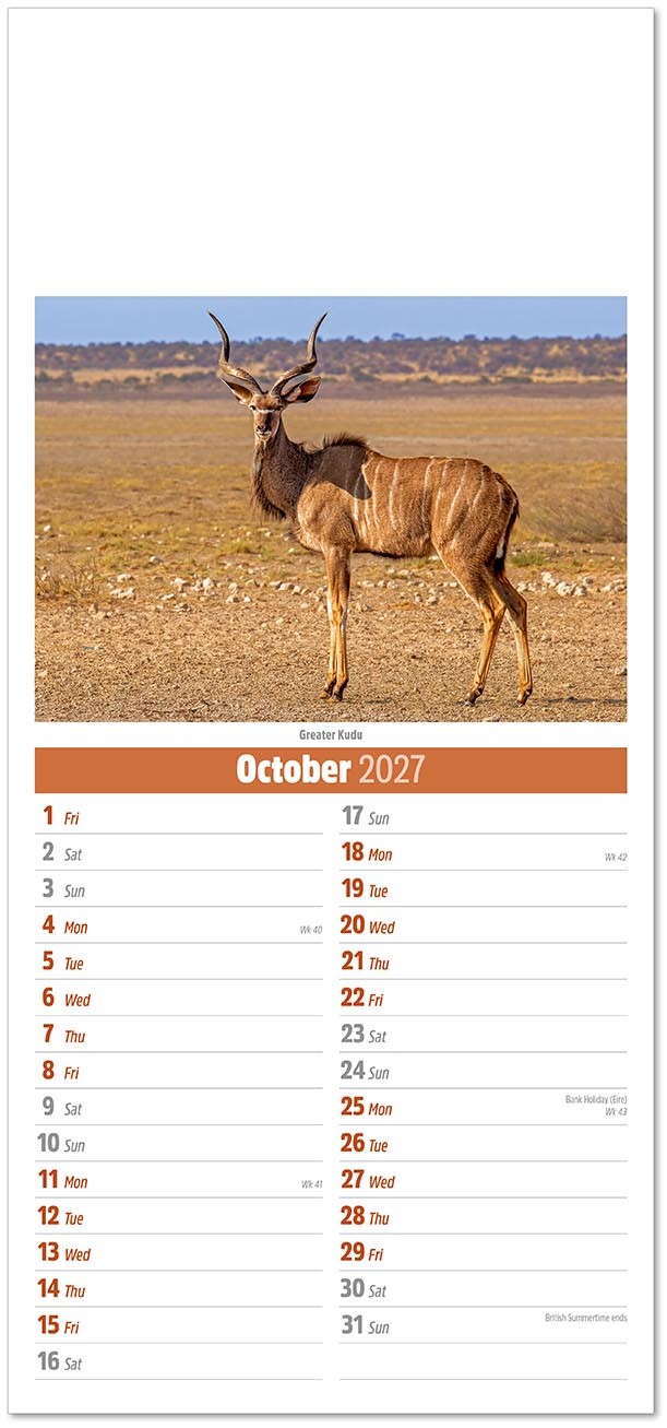 Slimline World Wildlife Compact Calendar