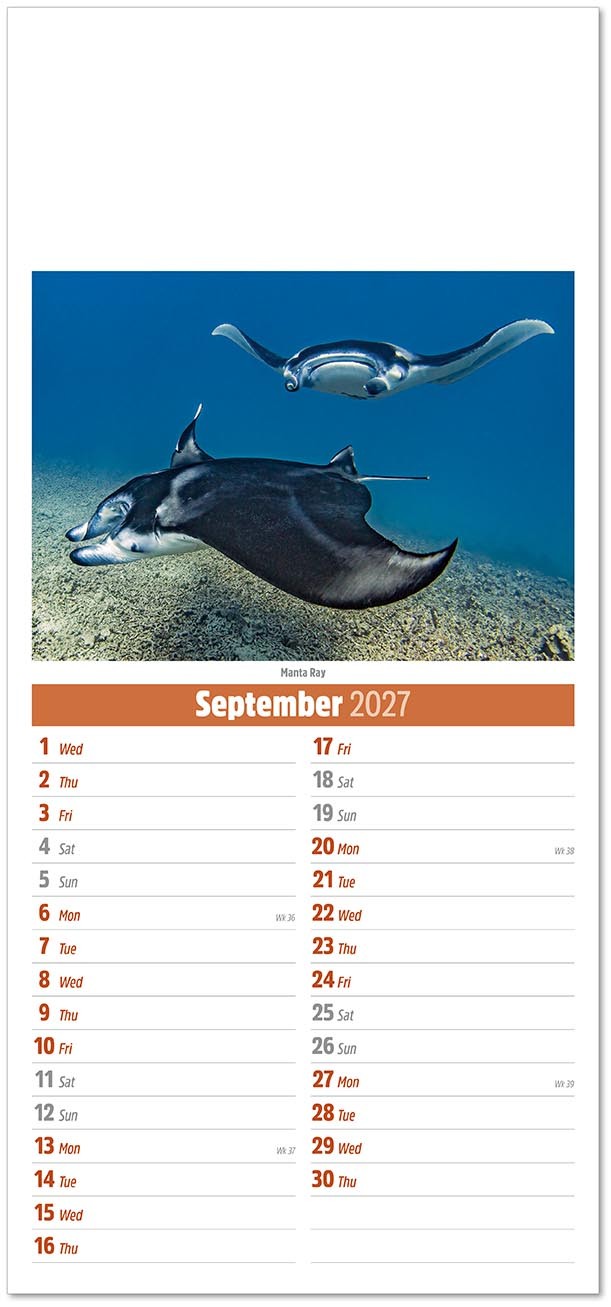 Slimline World Wildlife Compact Calendar